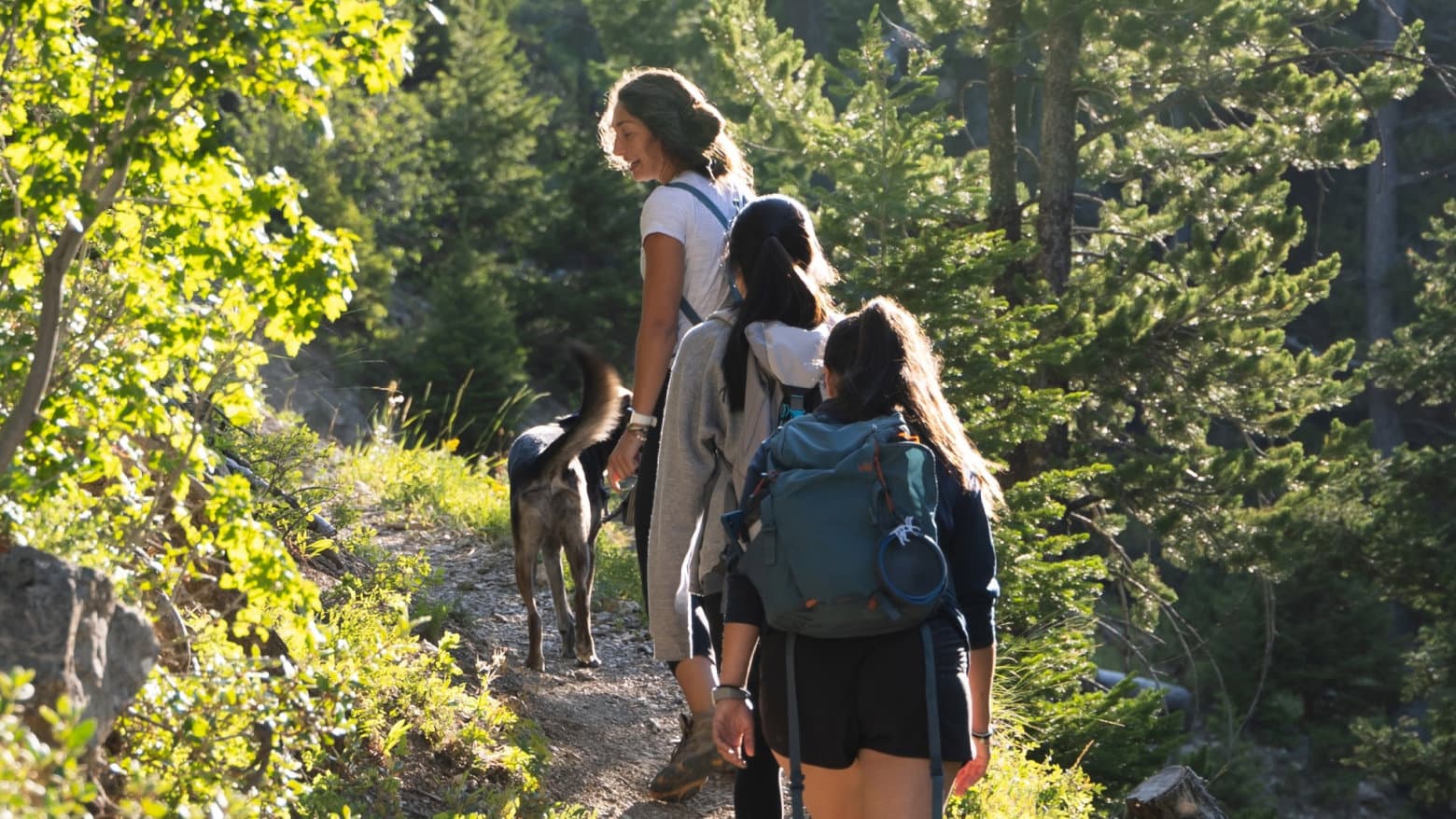 Los Angeles Hiking Group