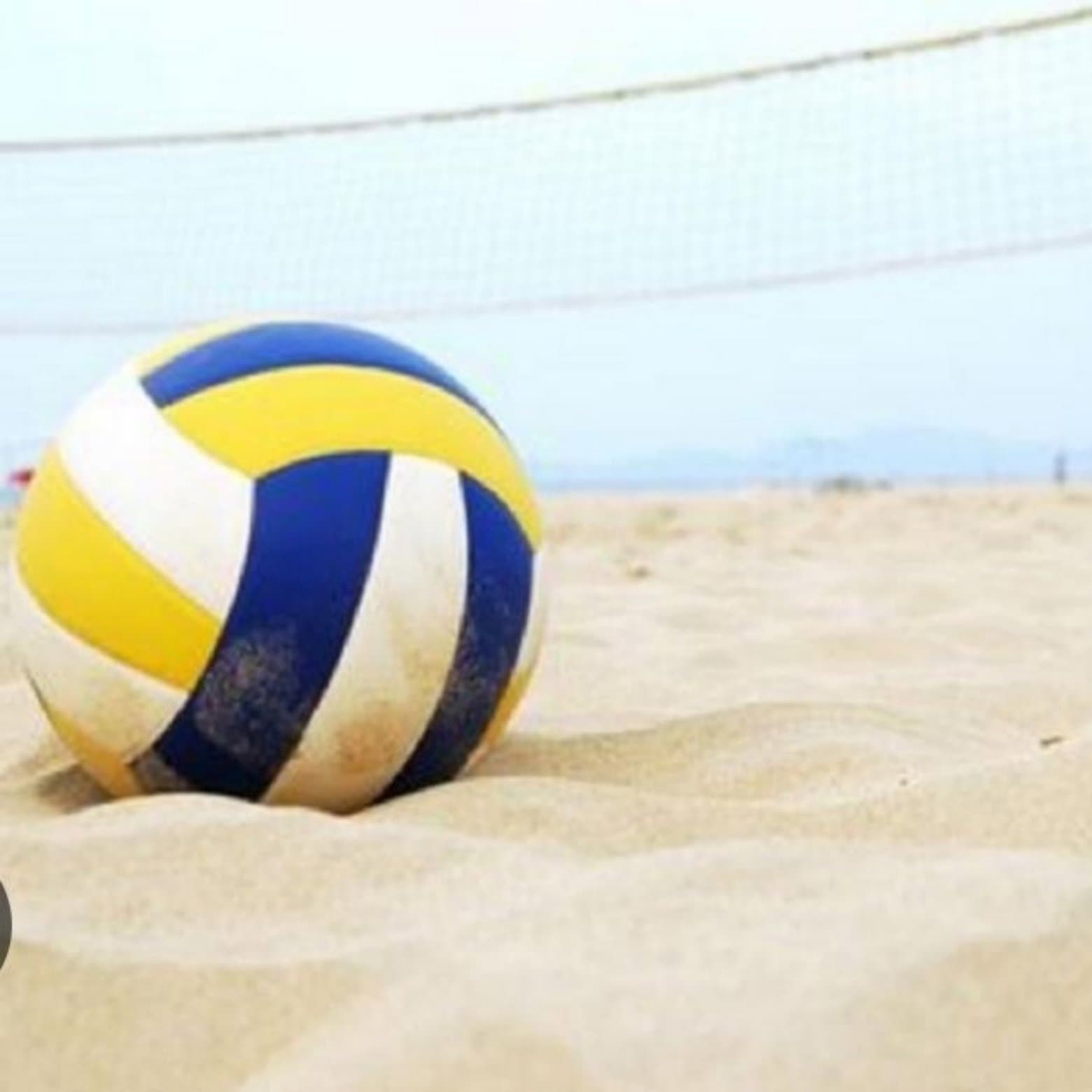 Volleyball at Frank Liske